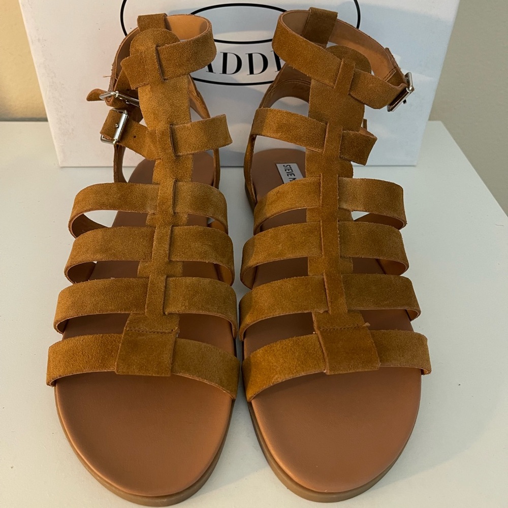 Steve Madden Diego Chestnut Suede